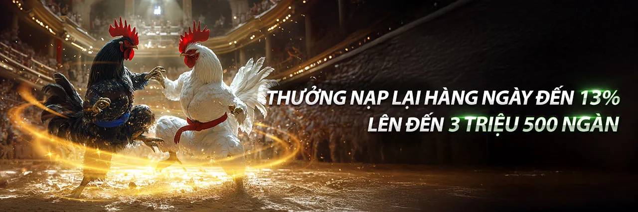 Đá Gà Trực Tuyến BI88 với Khuyến Mãi Hấp Dẫn