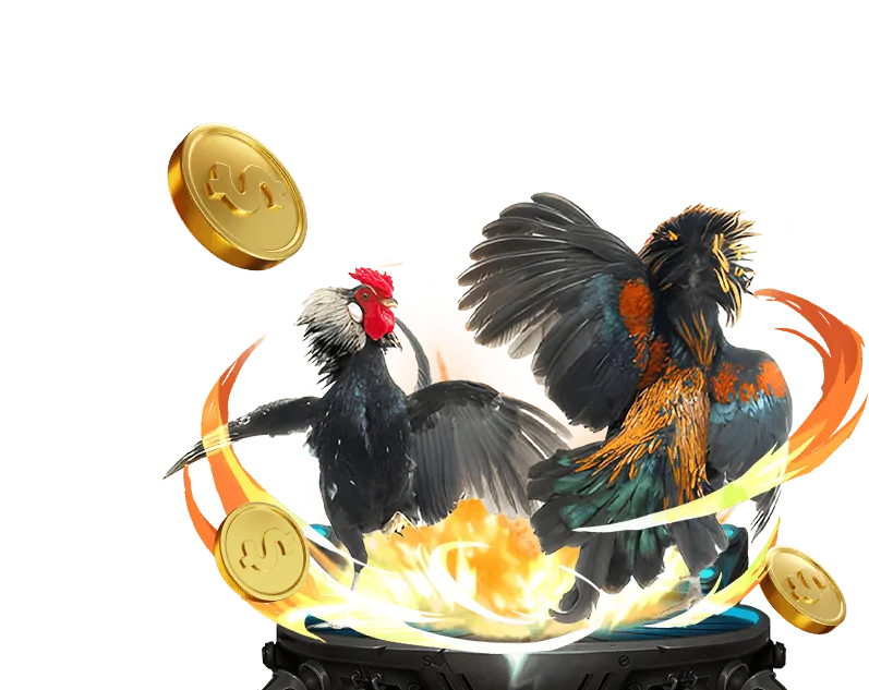 Ưu đãi & Khuyến mãi